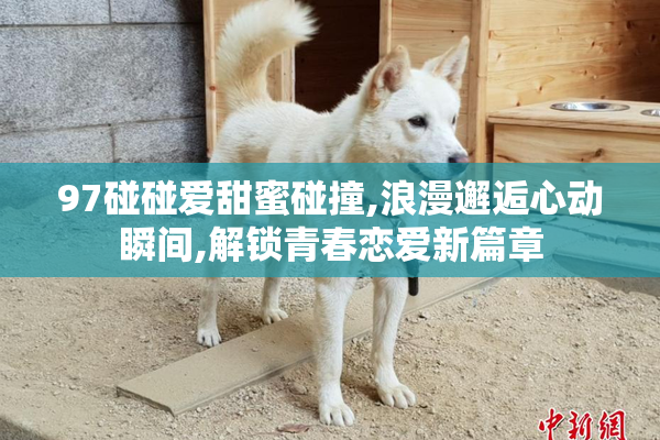 97碰碰爱甜蜜碰撞,浪漫邂逅心动瞬间,解锁青春恋爱新篇章