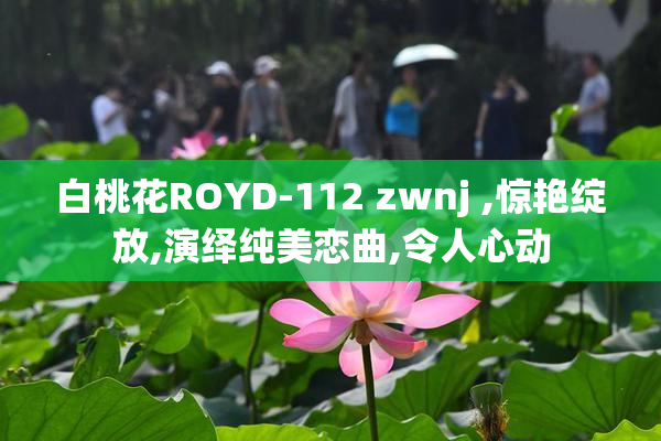 白桃花ROYD-112 zwnj ,惊艳绽放,演绎纯美恋曲,令人心动