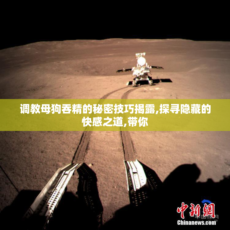 调教母狗吞精的秘密技巧揭露,探寻隐藏的快感之道,带你