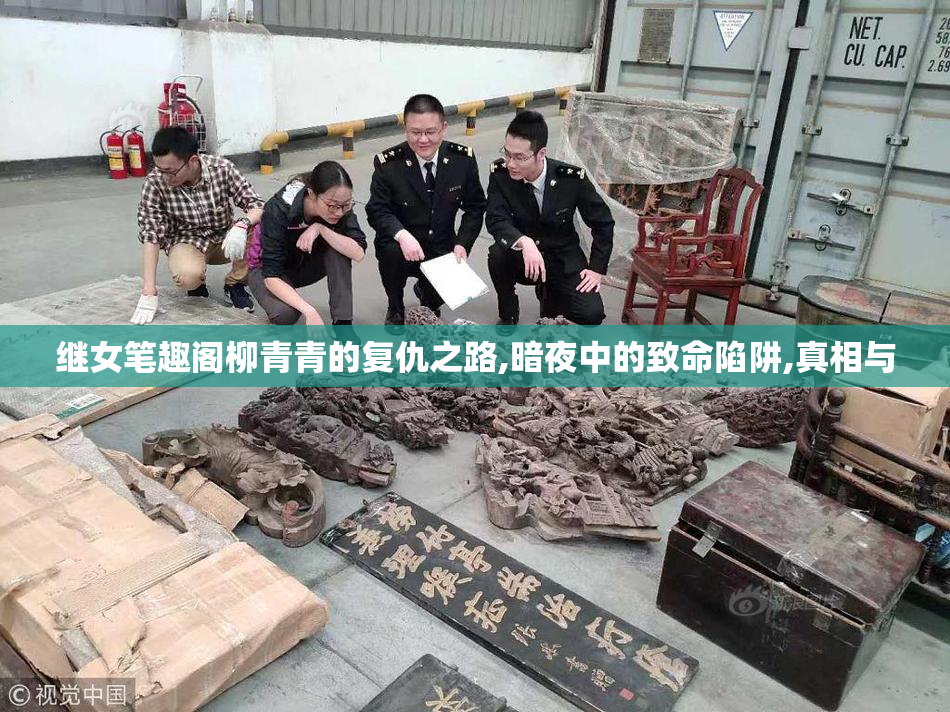 继女笔趣阁柳青青的复仇之路,暗夜中的致命陷阱,真相与