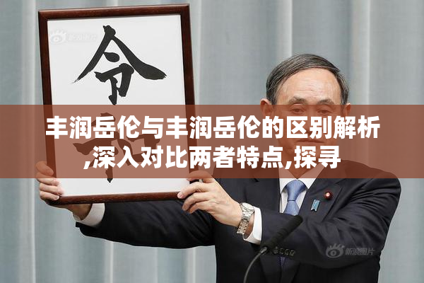 丰润岳伦与丰润岳伦的区别解析,深入对比两者特点,探寻