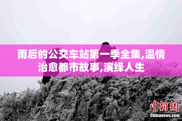 雨后的公交车站第一季全集,温情治愈都市故事,演绎人生