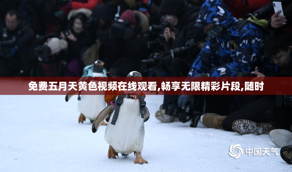 免费五月天黄色视频在线观看,畅享无限精彩片段,随时