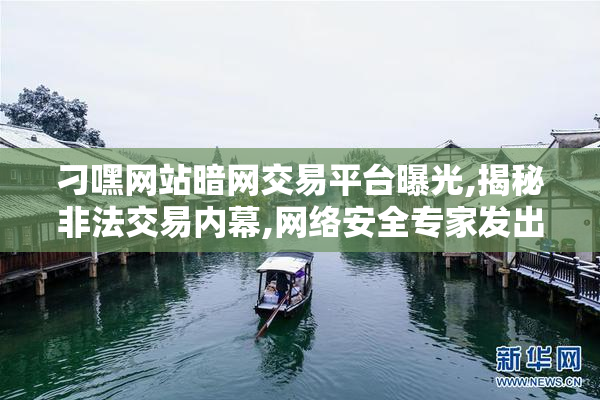 刁嘿网站暗网交易平台曝光,揭秘非法交易内幕,网络安全专家发出警告