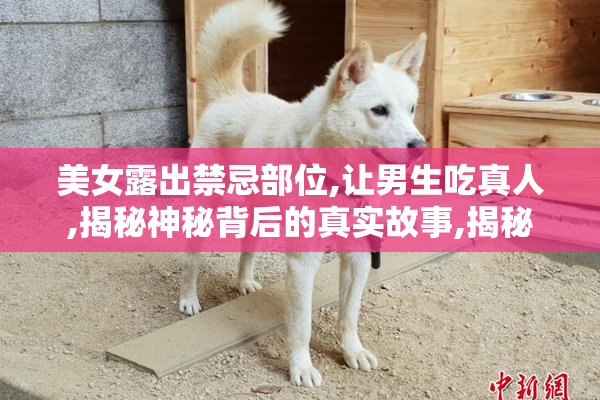 美女露出禁忌部位,让男生吃真人,揭秘神秘背后的真实故事,揭秘