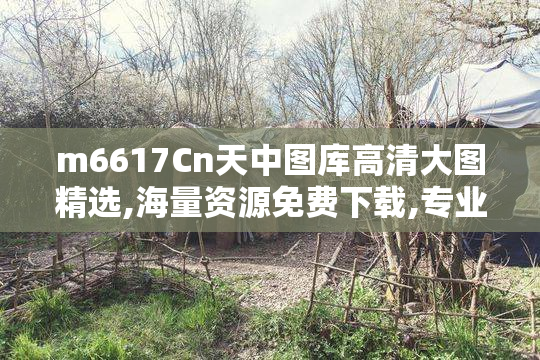 m6617Cn天中图库高清大图精选,海量资源免费下载,专业图库一站获取