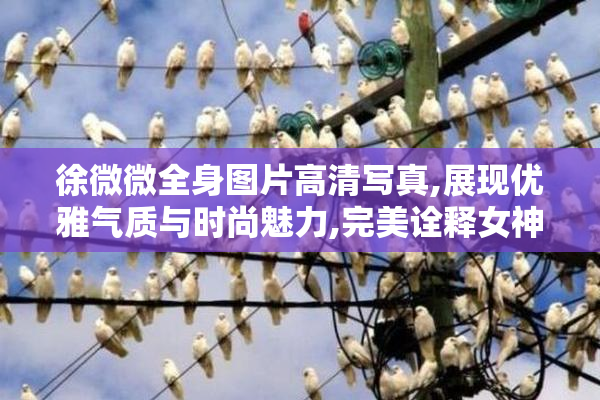 徐微微全身图片高清写真,展现优雅气质与时尚魅力,完美诠释女神风采