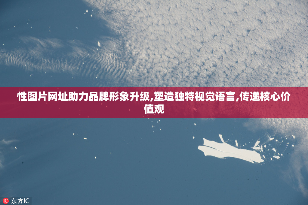 性图片网址助力品牌形象升级,塑造独特视觉语言,传递核心价值观