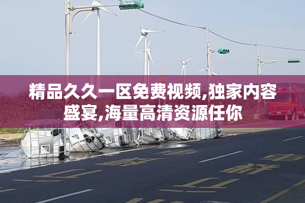 精品久久一区免费视频,独家内容盛宴,海量高清资源任你