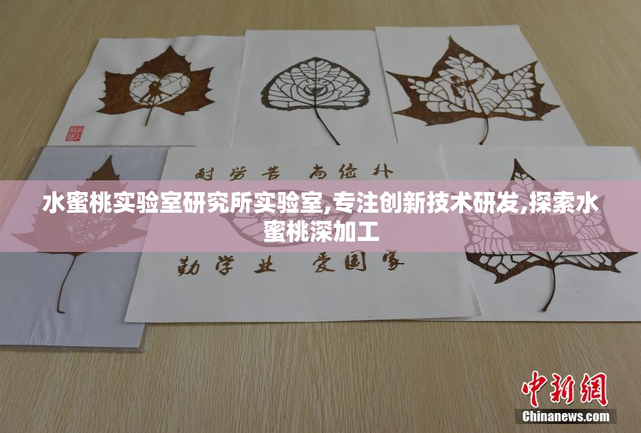 水蜜桃实验室研究所实验室,专注创新技术研发,探索水蜜桃深加工