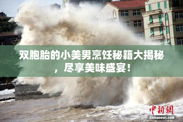 双胞胎的小美男烹饪秘籍大揭秘，尽享美味盛宴！