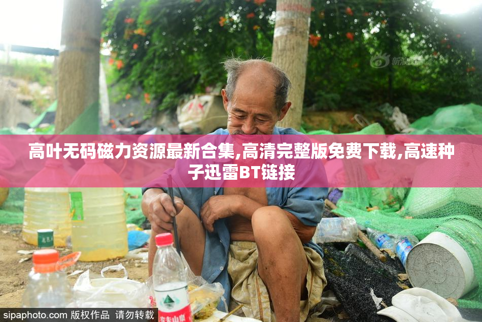 高叶无码磁力资源最新合集,高清完整版免费下载,高速种子迅雷BT链接