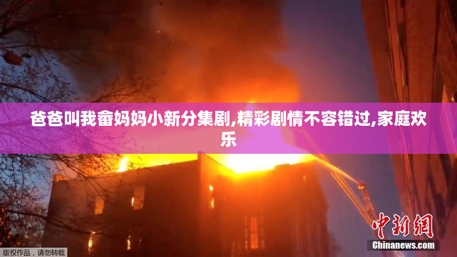 爸爸叫我畲妈妈小新分集剧,精彩剧情不容错过,家庭欢乐