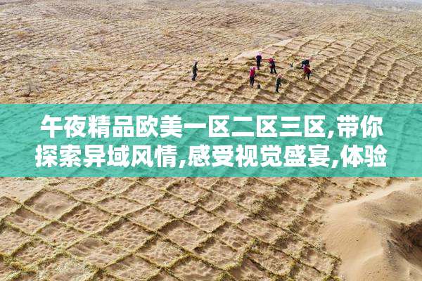 午夜精品欧美一区二区三区,带你探索异域风情,感受视觉盛宴,体验
