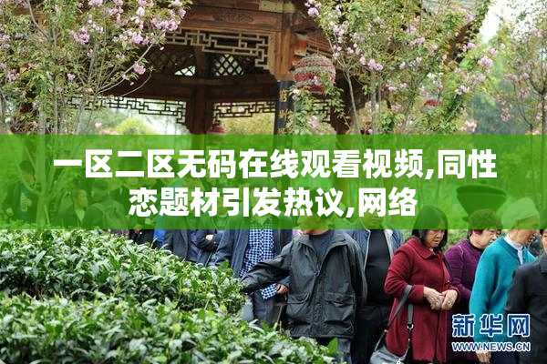 一区二区无码在线观看视频,同性恋题材引发热议,网络