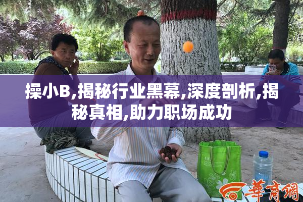 操小B,揭秘行业黑幕,深度剖析,揭秘真相,助力职场成功