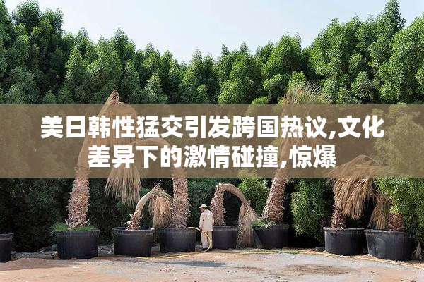 美日韩性猛交引发跨国热议,文化差异下的激情碰撞,惊爆