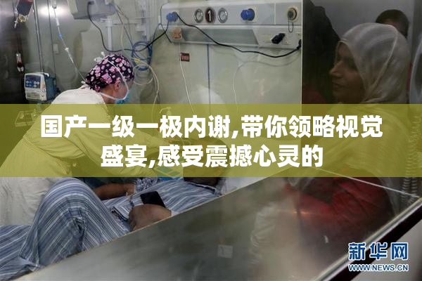 国产一级一极内谢,带你领略视觉盛宴,感受震撼心灵的