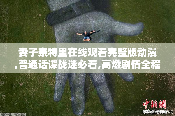 妻子奈特里在线观看完整版动漫,普通话谍战迷必看,高燃剧情全程无