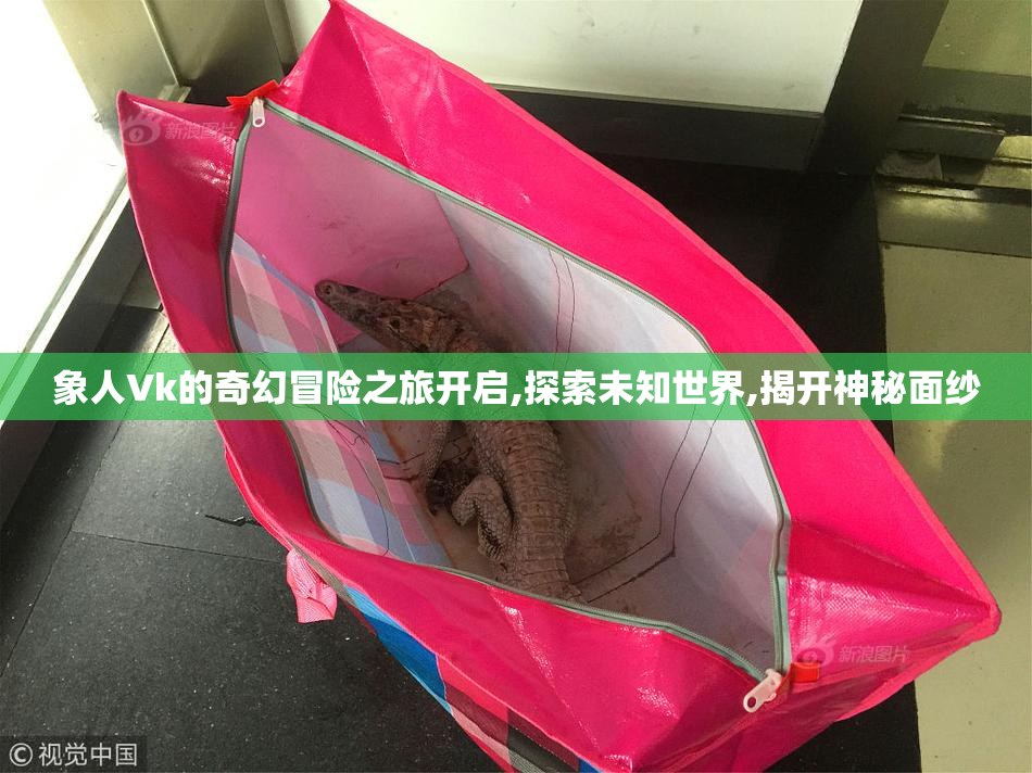 象人Vk的奇幻冒险之旅开启,探索未知世界,揭开神秘面纱