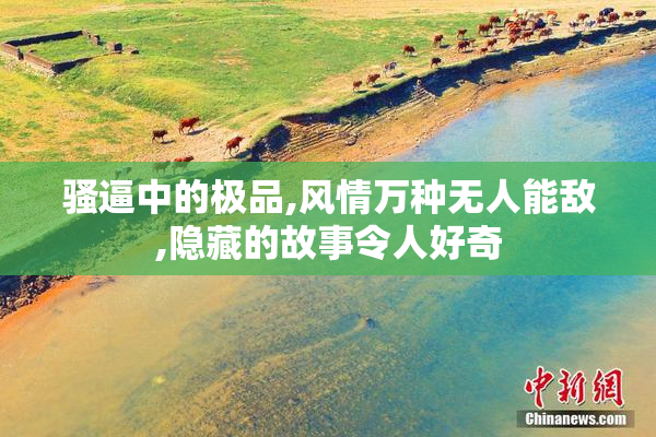 骚逼中的极品,风情万种无人能敌,隐藏的故事令人好奇