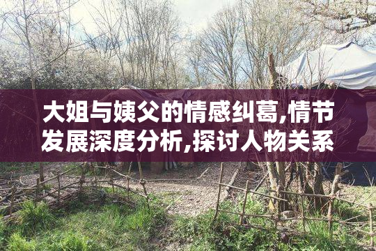 大姐与姨父的情感纠葛,情节发展深度分析,探讨人物关系