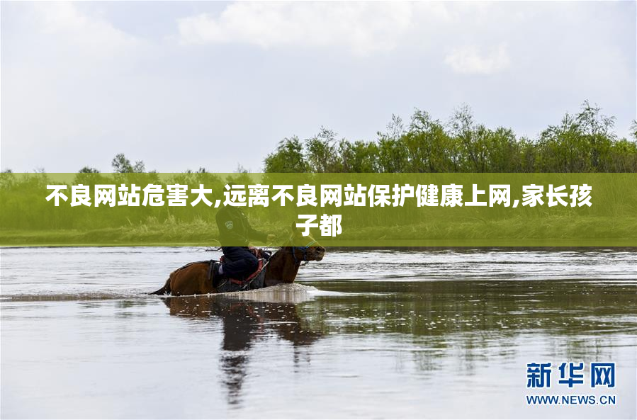 不良网站危害大,远离不良网站保护健康上网,家长孩子都