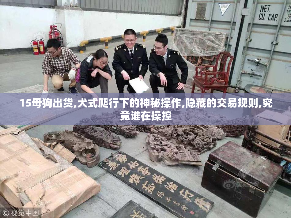 15母狗出货,犬式爬行下的神秘操作,隐藏的交易规则,究竟谁在操控