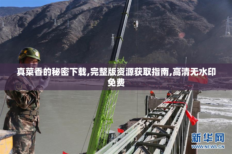 真菜香的秘密下载,完整版资源获取指南,高清无水印免费