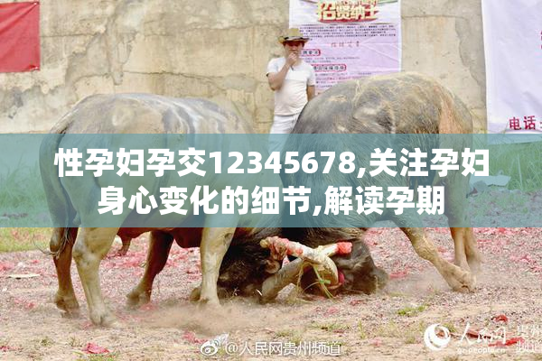 性孕妇孕交12345678,关注孕妇身心变化的细节,解读孕期
