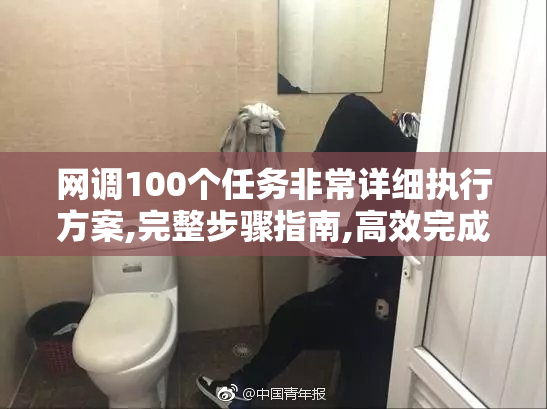 网调100个任务非常详细执行方案,完整步骤指南,高效完成调研与数据
