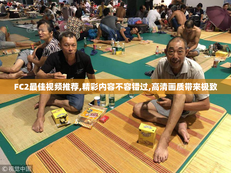 FC2最佳视频推荐,精彩内容不容错过,高清画质带来极致