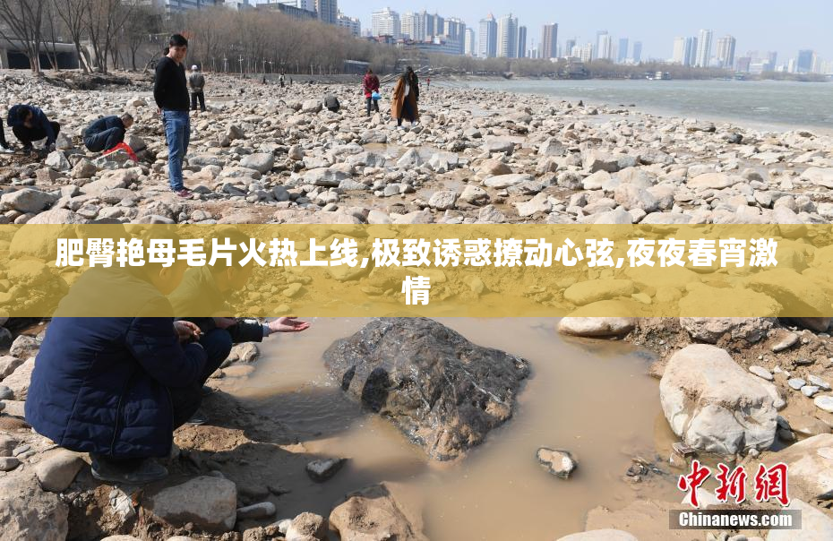 肥臀艳母毛片火热上线,极致诱惑撩动心弦,夜夜春宵激情