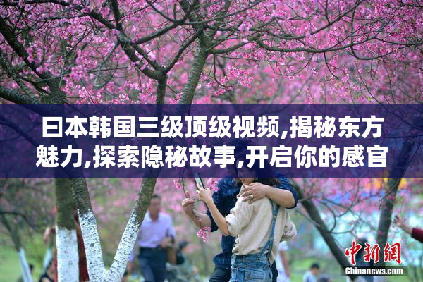 曰本韩国三级顶级视频,揭秘东方魅力,探索隐秘故事,开启你的感官