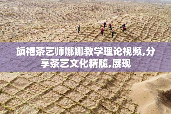 旗袍茶艺师娜娜教学理论视频,分享茶艺文化精髓,展现