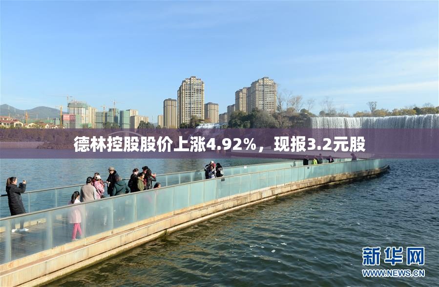 德林控股股价上涨4.92%，现报3.2元股