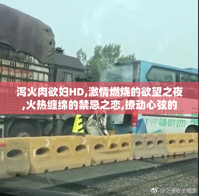 泻火肉欲妇HD,激情燃烧的欲望之夜,火热缠绵的禁忌之恋,撩动心弦的