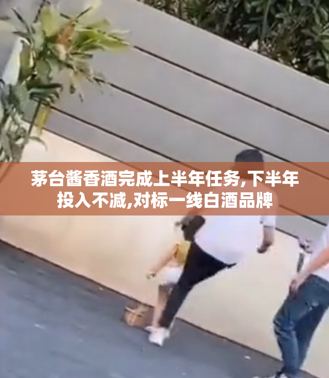 茅台酱香酒完成上半年任务,下半年投入不减,对标一线白酒品牌