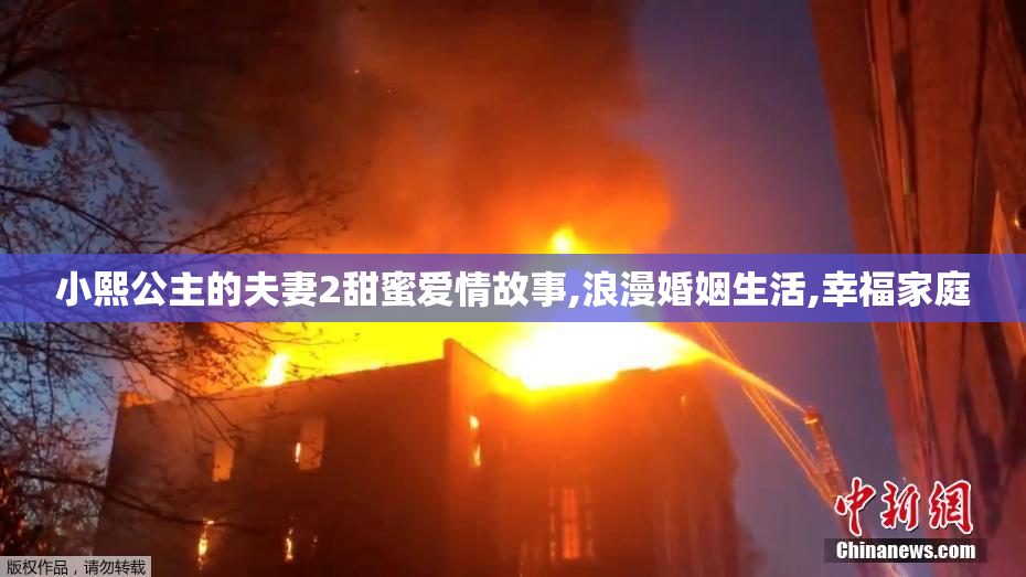 小熙公主的夫妻2甜蜜爱情故事,浪漫婚姻生活,幸福家庭