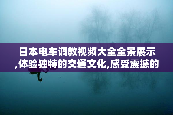 日本电车调教视频大全全景展示,体验独特的交通文化,感受震撼的