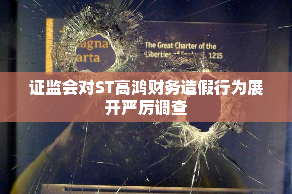 证监会对ST高鸿财务造假行为展开严厉调查