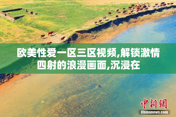 欧美性爱一区三区视频,解锁激情四射的浪漫画面,沉浸在
