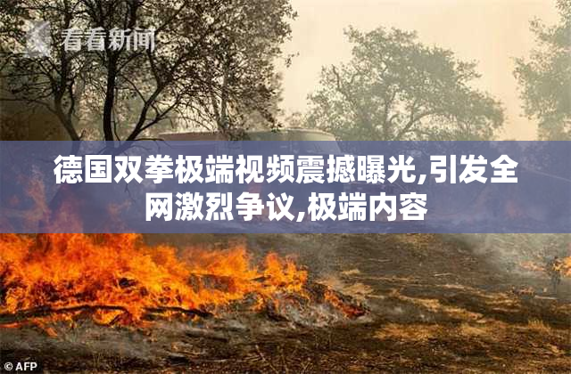 德国双拳极端视频震撼曝光,引发全网激烈争议,极端内容