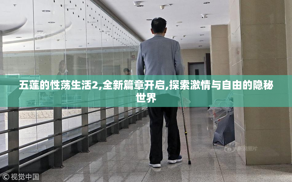 五莲的性荡生活2,全新篇章开启,探索激情与自由的隐秘世界