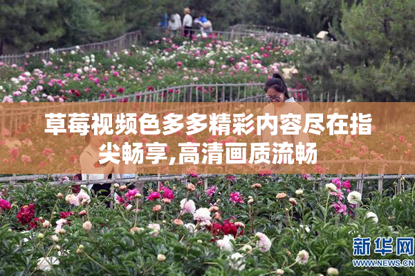 草莓视频色多多精彩内容尽在指尖畅享,高清画质流畅