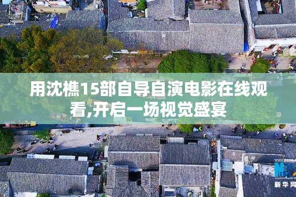 用沈樵15部自导自演电影在线观看,开启一场视觉盛宴