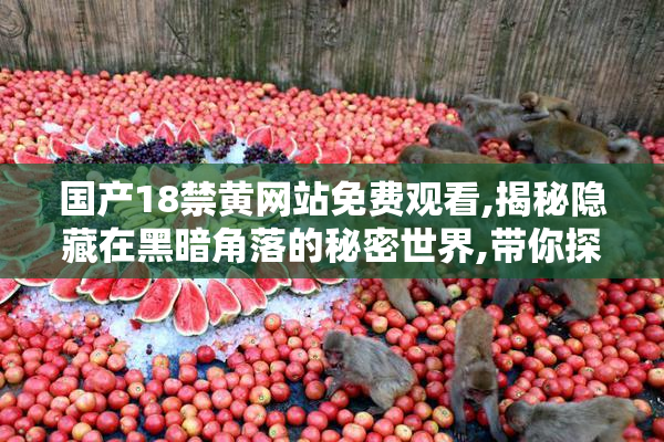 国产18禁黄网站免费观看,揭秘隐藏在黑暗角落的秘密世界,带你探索