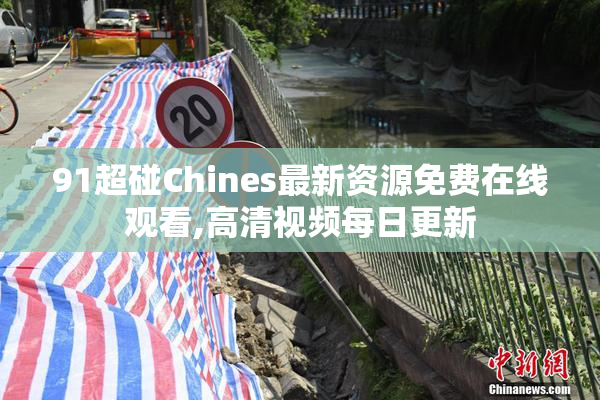 91超碰Chines最新资源免费在线观看,高清视频每日更新