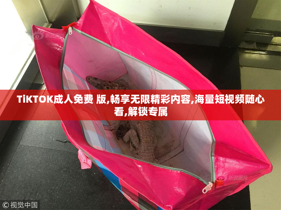 TiKTOK成人免费 版,畅享无限精彩内容,海量短视频随心看,解锁专属