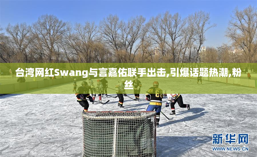 台湾网红Swang与言嘉佑联手出击,引爆话题热潮,粉丝
